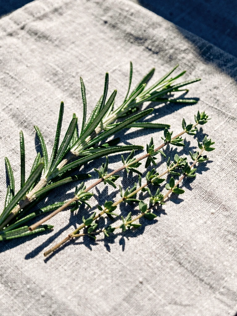 Mediterranean herbs representation